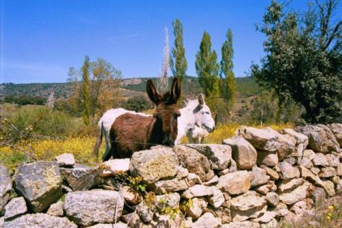 Casa Rural Menta Y Canela Tórtoles Kültér fotó